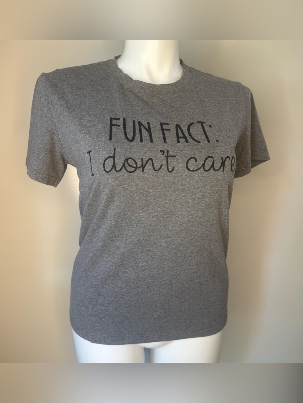 Gray Fun Fact I Don't Care Universe T-shirt M